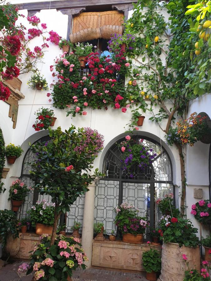 Apto. Planta Baja Y Cochera Barrio San Basilio Apartament Kordoba