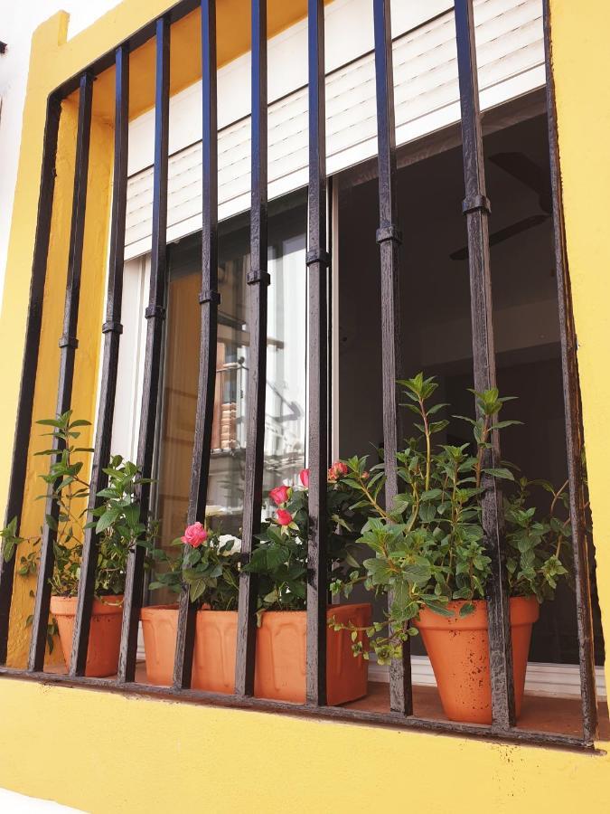 Apto. Planta Baja Y Cochera Barrio San Basilio *
