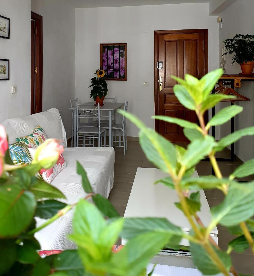 Apartament Apto. Planta Baja Y Cochera Barrio San Basilio